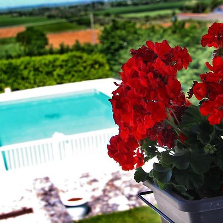 Miramurgia B&B Gravina in Puglia Buitenkant foto