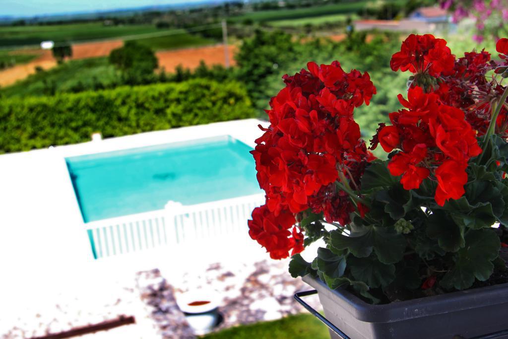 Miramurgia B&B Gravina in Puglia Buitenkant foto
