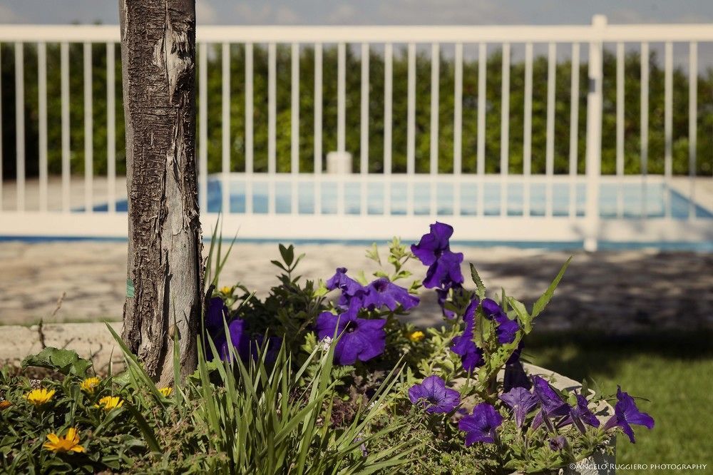 Miramurgia B&B Gravina in Puglia Buitenkant foto