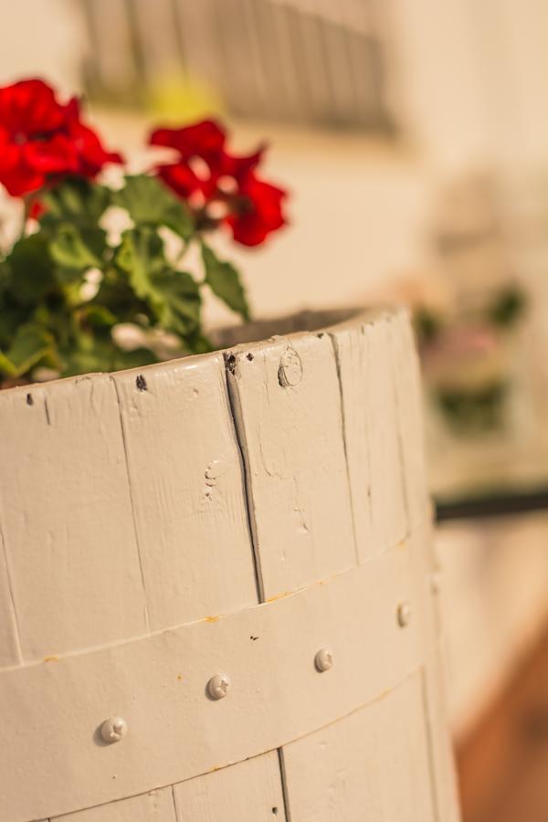 Miramurgia B&B Gravina in Puglia Buitenkant foto