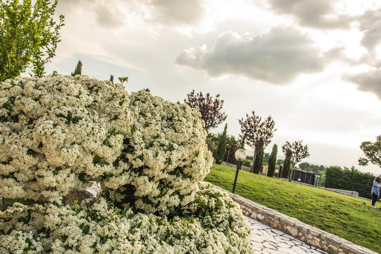 Miramurgia B&B Gravina in Puglia Buitenkant foto